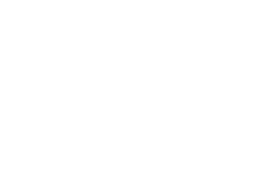 FZO Logo